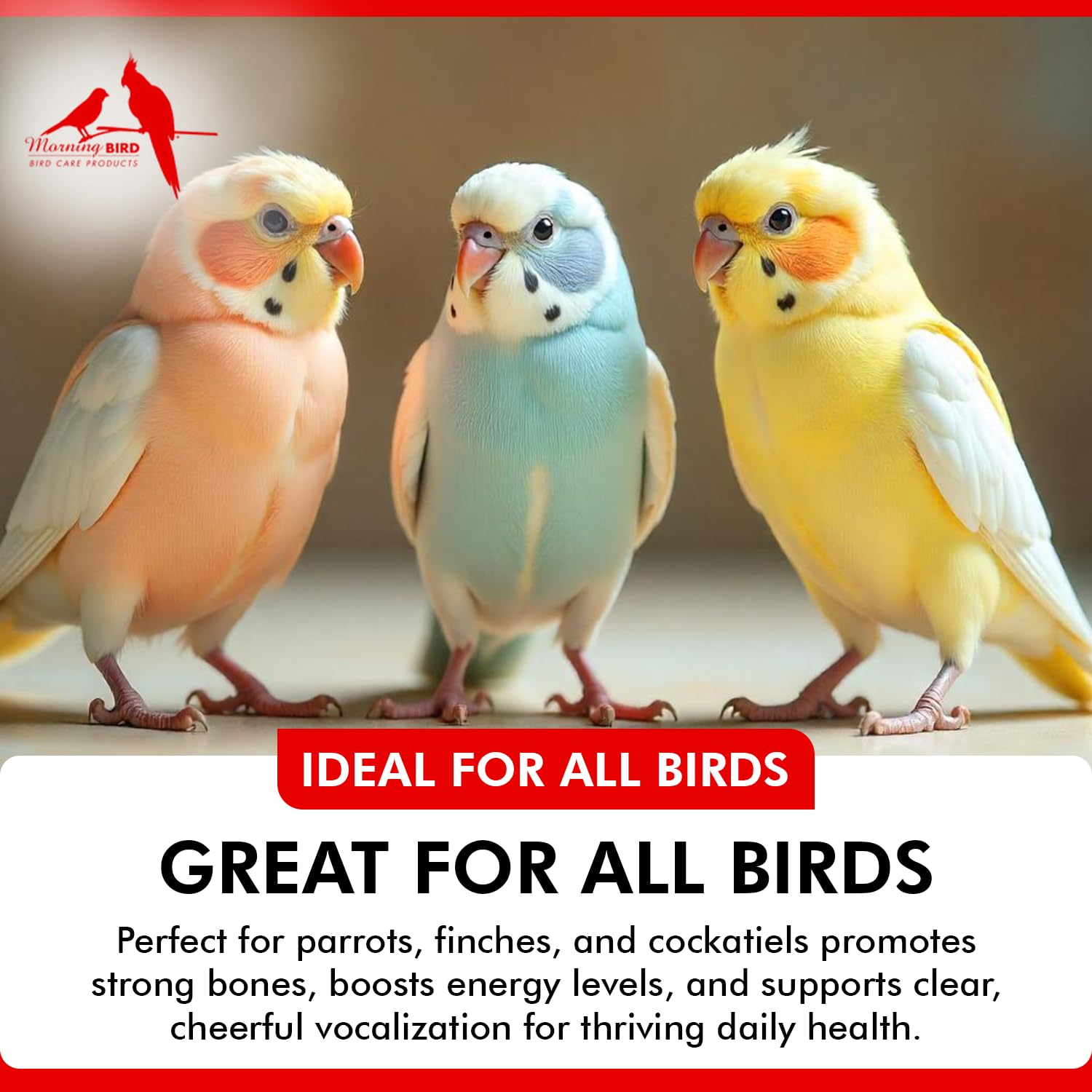 Morning Bird Hearty Bird 1 oz - Daily Multivitamin Powder for Birds - Energy Support with Immune Booster & Wellness - Protein Su